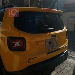 جيب رينيجيد